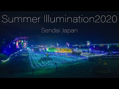 6K サマーイルミネーション Sendai Summer Illuminations 2020 せんだい農業園芸センター～ひまわりの天の川～ 宮城夏休み観光