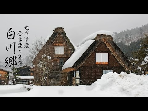 白川郷の雪景色 6K Heavy Snowfall in Japanese Traditional Village | Shirakawa-go, Gifu Travel 岐阜観光 世界遺産冬の風景