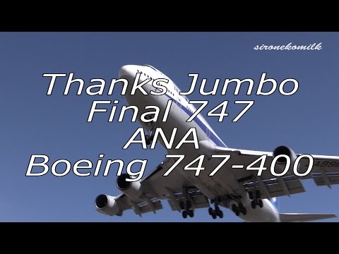全日空 ボーイング747 Thanks Jumbo Jet ANA Boeing 747-400 Final Flight in Japan 退役記念飛行機離着陸動画