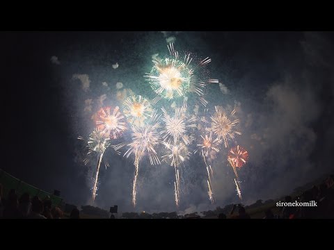 赤川花火大会 4K Japan Dramatic Hanabi | Akagawa Fireworks Festival 2016 ドラマチックハナビ Dolphins～恋するイルカショー～