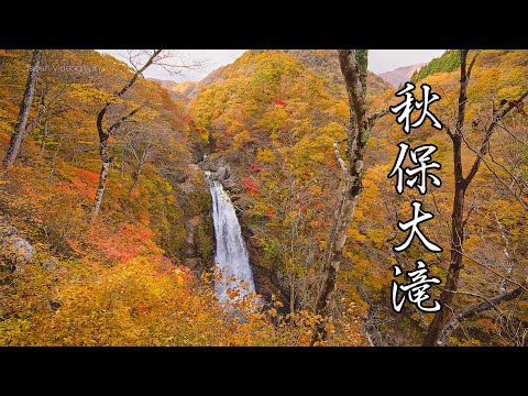 秋保大滝の風景 紅葉 5K Beautiful Autumn Leaves at Akiu Waterfall | SENDAI JAPAN 宮城観光 美しい仙台の風景 日本三大名瀑