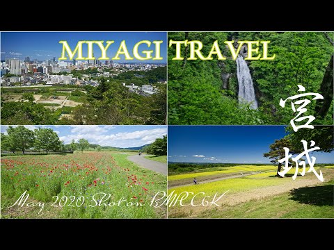 宮城観光 6K Travel to Miyagi Japan in May 2020 Nature &amp; Urban Landscape | 新緑と花の風景 仙台城跡 秋保大滝