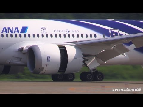 秋田空港B787の離着陸 ANA Boeing 787-8 JA801A Landing and Take off at Akita Airport 全日本空輸 ボーイング787 飛行機動画