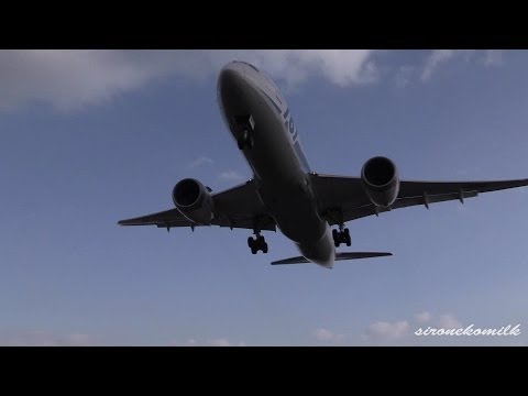 伊丹空港 飛行機離着陸 ANA Boeing 787-8 Dreamliner Landing and take off | Japan Osaka Int&#039;l Airport(Itami)