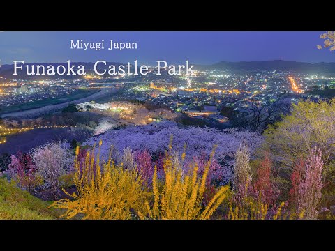 4K 船岡城址公園の桜 Tohoku Japan Cherry Blossoms &amp; Night view | Funaoka Castle ruins 宮城観光 桜と夜景の名所