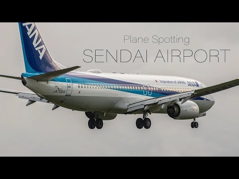 YouTube Live | 暴風の仙台空港飛行機離着陸 ライブ配信 Strong wind Plane Spottinga at Japan Sendai Airport