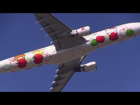 ハローキティジェット EVA Air Airbus A330-300 Hello Kitty Jet take off from Narita Int&#039;l Airport 成田国際空港 飛行機離陸