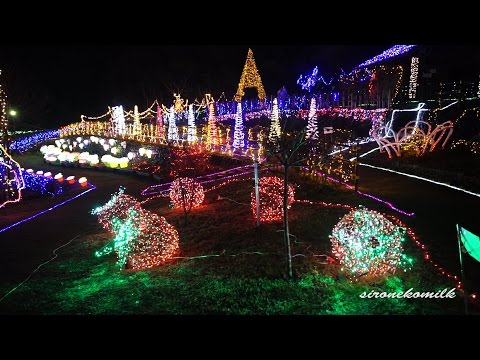 コダナリエ Tohoku Japan Revival Prayer Christmas Lights | Kodanarie 2014 山元町 東北復興祈願のイルミネーション