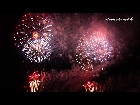男鹿日本海花火 Oga Sea of Japan Fireworks Festival 2014 | Guest greetings, Wedding cake sword