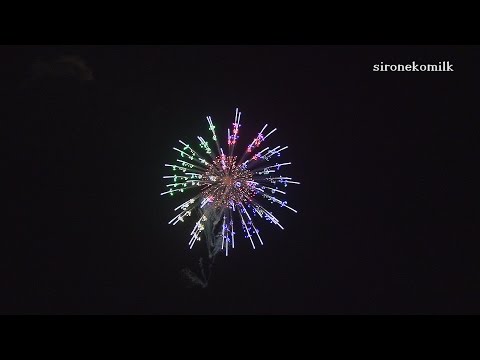 全国十号玉新作花火コンテスト All Japan 12 inch shells New Fireworks Contest | Nagano Ebisukou 2015 長野えびす講煙火大会
