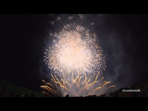 4K 全国デザイン花火競技会 Japan Design Hanabi Contest アルプス煙火工業㈱ | Akagawa Fireworks Festival 2016 赤川花火大会