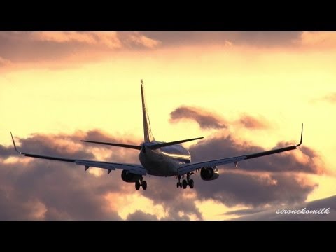 仙台空港飛行機の着陸 ANA Boeing 737-700 Landing to Japan Sendai Airport - Beautiful Sunset