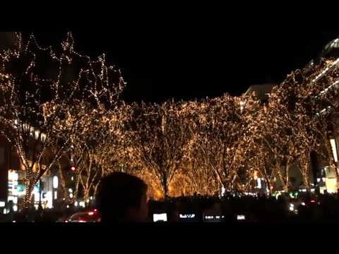 最後の白熱電球イルミネーション SENDAI光のページェント2009 | Christmas Lights in Sendai Japan