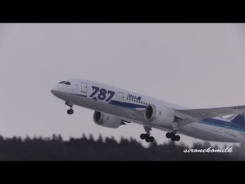 冬の秋田空港 ANA Boeing 787-8 Take off and Landing | Japan Akita Airport in Winter 旅客機離着陸 雪景色