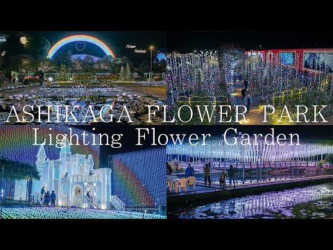 日本三大イルミネーション あしかがフラワーパーク 4K Ashikaga Flower Park Japan | Christmas Lights illuminations 光の花の庭 絶景