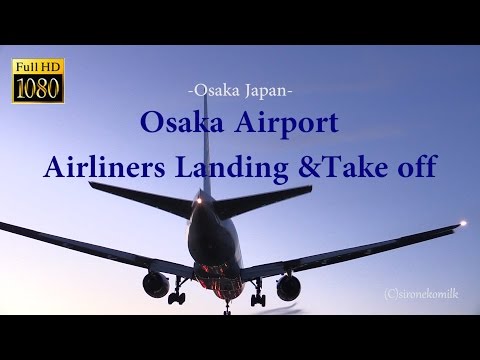 大阪伊丹空港 飛行機の離着陸 Plane Spotting at Osaka International Airport Japan 伊丹スカイパーク スカイランドHARADA 千里側堤防