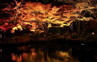 円通院庭園の美しい紅葉ライトアップ 2011 | 宮城県松島町