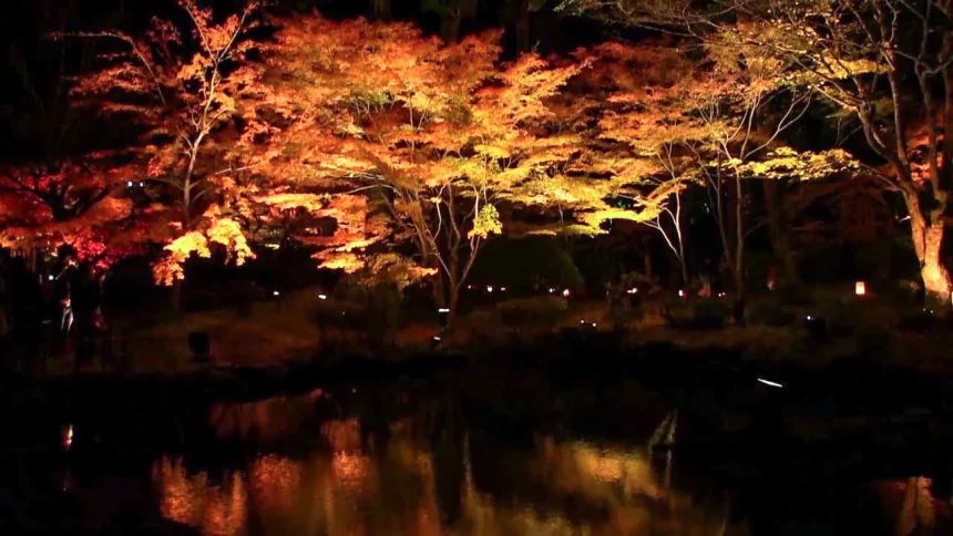 円通院庭園の美しい紅葉ライトアップ 2011 | 宮城県松島町