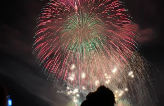 2011年 第6回古都ひろさき花火の集い | 青森県弘前市
