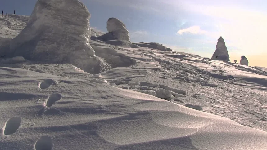 山形蔵王の樹氷 日本の美しい冬の風景 | 山形県山形市