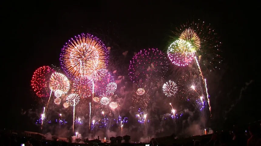 感動！世界一美しい日本の花火大会