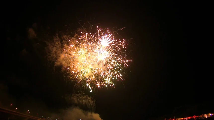 2012年 盛岡花火の祭典「盛岡の夜空に咲く大輪の花火」 | 岩手県盛岡市