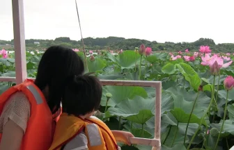 湖上遊覧船で蓮の花を楽しむ長沼はすまつり | 宮城県登米市