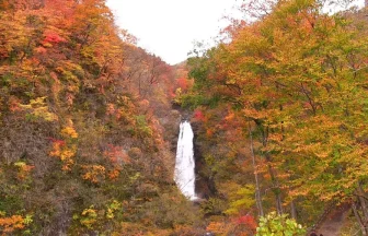 日本三大名瀑 秋保大滝の美しい紅葉 | 宮城県仙台市