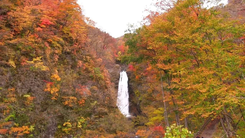 日本三大名瀑 秋保大滝の美しい紅葉 | 宮城県仙台市
