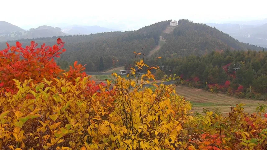 ロープウェイから眺める山形蔵王温泉スキー場の紅葉が綺麗！ | 山形県山形市