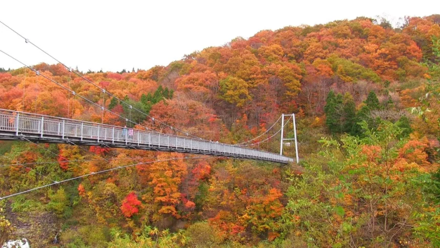 紅葉が美しい宮城の風景 やまびこ吊り橋 | 宮城県七ヶ宿町