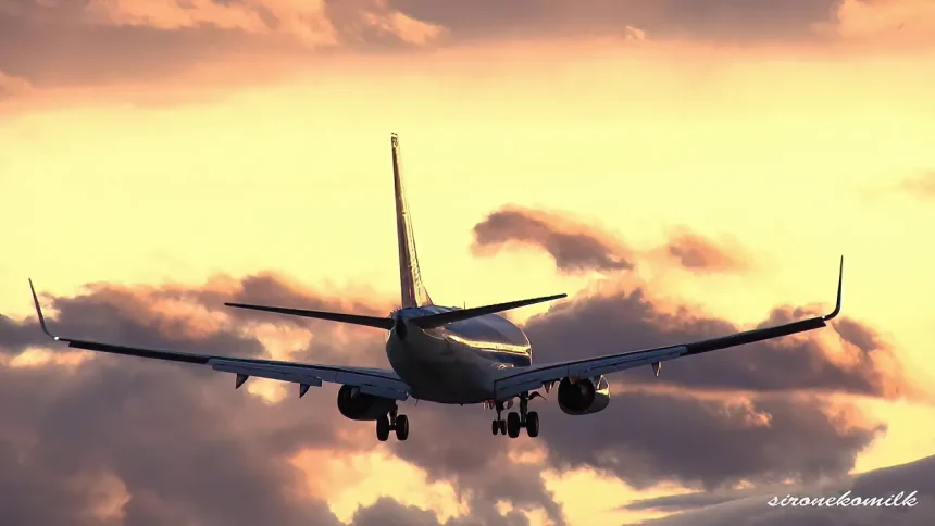 夕焼け空が美しい仙台空港 飛行機着陸映像