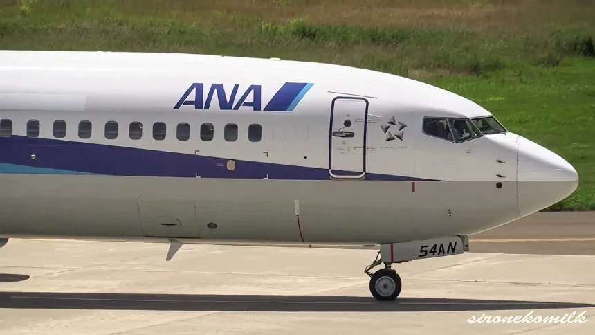 全日本空輸のボーイング737-800 JA54ANが大館能代空港から離陸