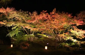 美しすぎる円通院庭園の紅葉ライトアップ 東北の観光名所 | 宮城県松島町