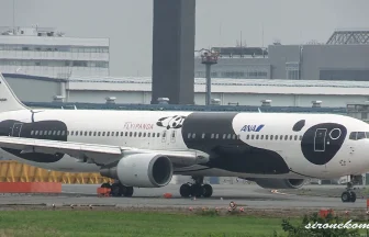 全日本空輸 ボーイング767-300ER FLY!パンダが成田国際空港から離陸