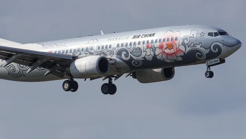 エアチャイナ ボーイング737-800 銀牡丹塗装機が仙台空港に着陸