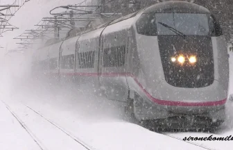 全車両引退 秋田新幹線 E3系0番台 ありがとう こまち 最後の冬