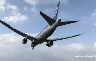 大阪伊丹空港に着陸する旅客機がかっこいい飛行機撮影スポット！千里川土手