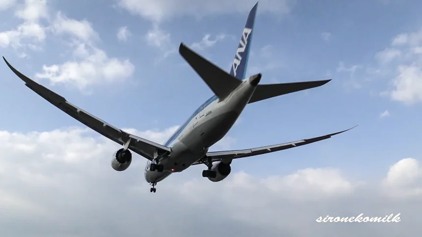 大阪伊丹空港に着陸する旅客機がかっこいい飛行機撮影スポット！千里川土手