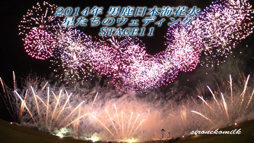 2014年 男鹿日本海花火~星空のウェディング~ | 秋田県男鹿市
