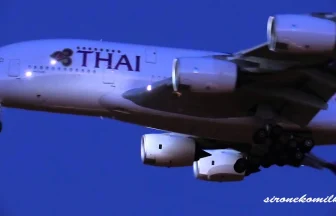 タイ国際航空の大型旅客機エアバスA380-800が成田国際空港に着陸