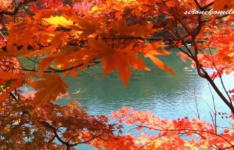 紅葉が美しい福島裏磐梯の五色沼 東北の風景 | 福島県北塩原村