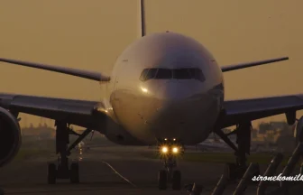 飛行機発着回数日本一! 夕暮れの福岡空港 旅客機離着陸映像