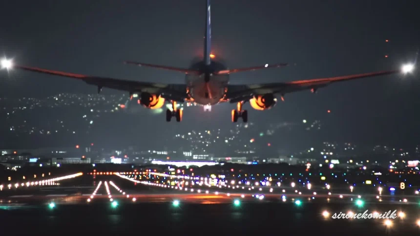 飛行機離着陸 大阪伊丹空港 千里川土手 伊丹スカイパーク スカイランドHARADA