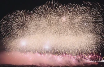 2015年 第25回 赤川花火大会 | 山形県鶴岡市