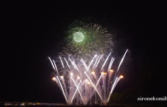 2015年 古都ひろさき花火の集い | 青森県弘前市