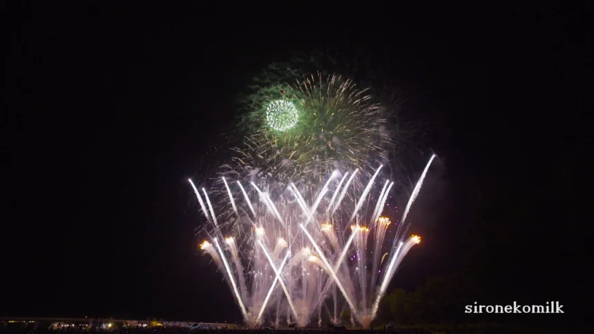 2015年 古都ひろさき花火の集い | 青森県弘前市