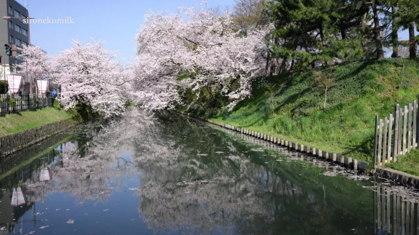 Sony A7S×ATOMOS NINJA ASSASSIN Test 日本の風景 飛行機 花火大会の4K高画質映像集