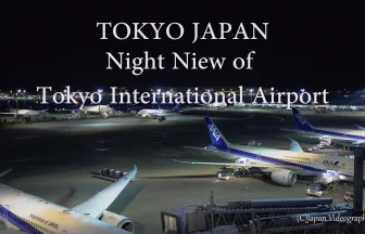 東京国際空港(羽田空港)国際線展望デッキからの美しい夜景と飛行機 | 東京都大田区