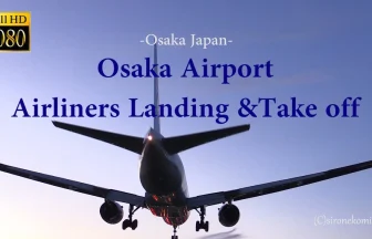 大阪伊丹空港 飛行機の離着陸映像 伊丹スカイパーク スカイランドHARADA 千里側堤防